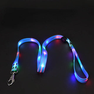 LED dog leash with multicolor lights on a blue strap and a metal clip