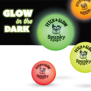 Fetch and Glow Ball Dapper Spunky Pup