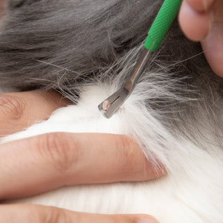 TickCheck Premium Tick Remover Kit - 3pc TickCheck