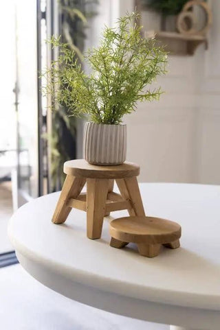 Riser, natural wood round mini 6x6x2, with a potted plant on a small wooden stool (2-piece display).