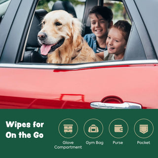 Extra Thick Herbal-Infused Dog Grooming Wipes, 100 wipes