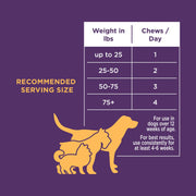 The Only Multivitamin Soft Chews Dogs Need Natural Rapport