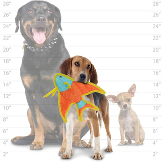 DuraForce Angel Fish dog toy in orange with turquoise head and yellow trim; three dogs pictured.