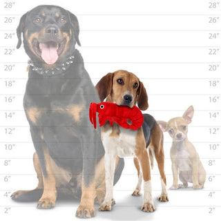 Mighty Jr Ocean Prawn plush squeaky dog toy, red; three dogs shown.