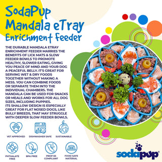 Mandala eTray Enrichment Tray for Dogs, blue circular compartments with a colorful background