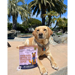 Dog training treats bag, pink-lavender pouch labeled off-leash leisure, soft and chewy; dog lounging nearby