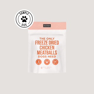 The Only Freeze Dried Chicken Meatballs Dogs Need Natural Rapport Sample Bag - Approx. 1 oz