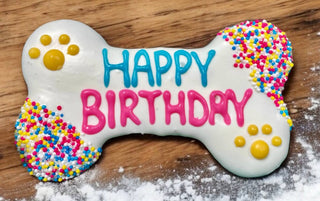 6 inch Yogurt Fiesta Happy Birthday Bone Dog Treats YumYum4DOGS