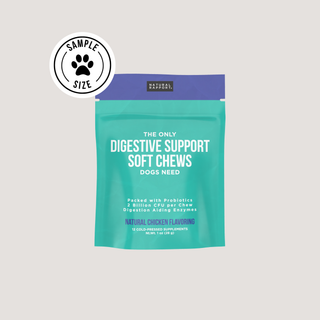 The Only Digestive Support Soft Chews Dogs Need in a teal bag with a purple top, 12-count pouch with visible brand logo.