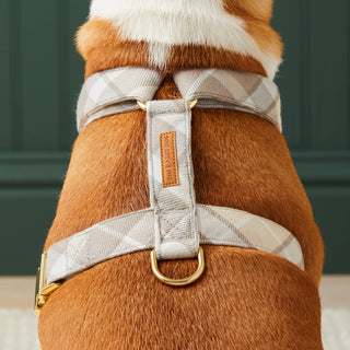 Andover Plaid Flannel Harness The Foggy Dog