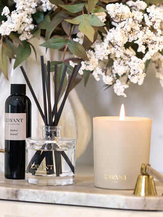 Reed Diffuser - Ambre Santal L'AVANT Collective