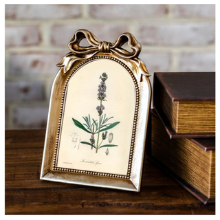 Arch Gold Bow Frame with botanical print and gold beaded border