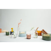 Botany - Grapefruit Mangosteen - 13oz  Firefly   