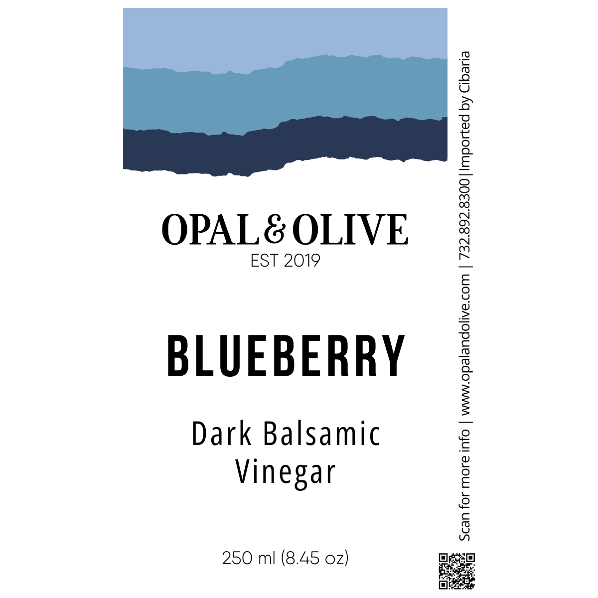 Dark Balsamic Vinegar - Blueberry Dark Balsamic Opal and Olive   