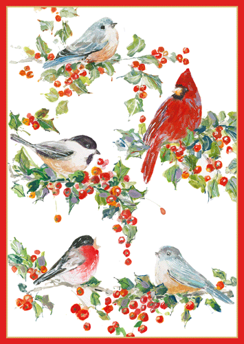 Winter Birds And Holly - Christmas Card Box B Size 16 In  Caspari   