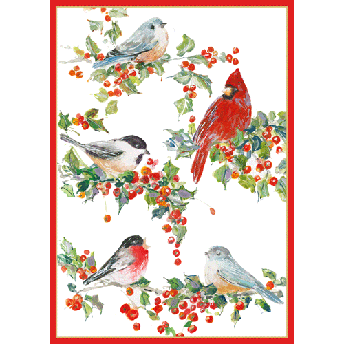 Winter Birds And Holly - Christmas Card Box B Size 16 In  Caspari   