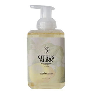 Citrus Bliss natural foaming hand soap with aloe in a pump bottle by Creative Co-Op