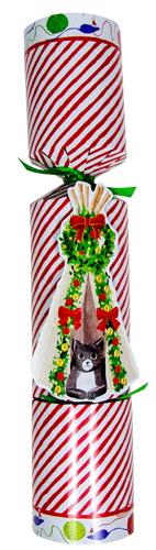 Christmas Cracker - Cat Christmas Teepee - Individual Pet Favor Caspari