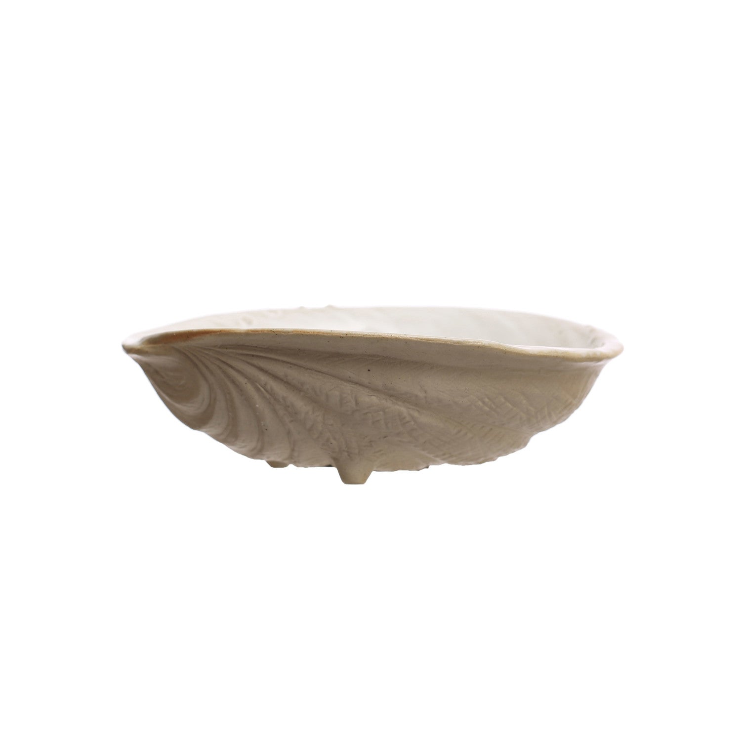 6-1/4"L Stoneware White Shell  Creative Co-Op   