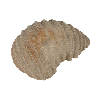 Shell-shaped stoneware platter, white, 3-3/4 in long