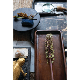 Incense cones with ceramic holder on dark wood tray among dried botanicals