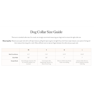 Sky Blue Gingham Spring Dog Collar, Dapper Standard Collar for everyday wear