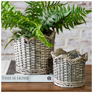 Grey-wash willow baskets with lush ferns, two woven planters on a wooden table