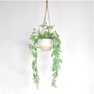 Ivy in cement pot hanging planter with trailing green vines.