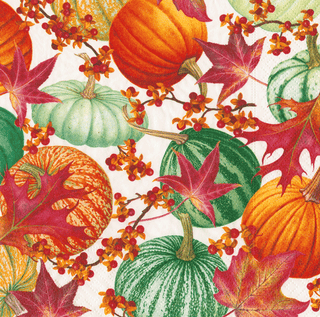 Cocktail Napkin - Gourds And Leaves - Recycled Napkin Cocktail Caspari