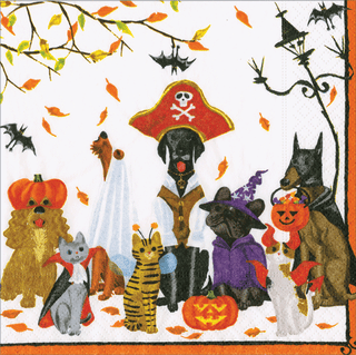 Cocktail Napkin - Halloween Pets - Recycled Napkin Cocktail Caspari
