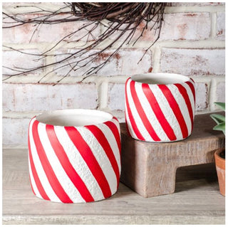 Candy Cane Stripe Planter PD Home