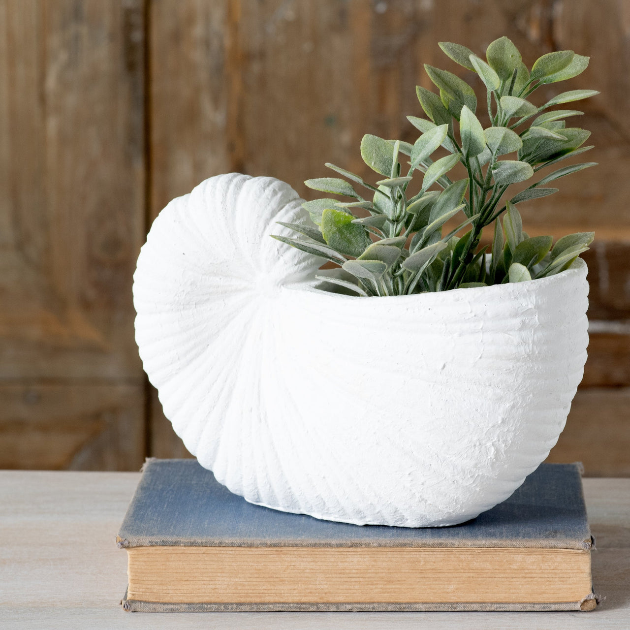 White Cement Shell Planter  PD Home   