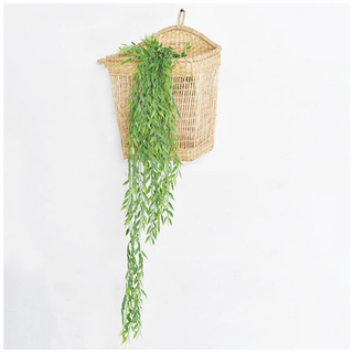 Hanging Plant 39" PD Home
