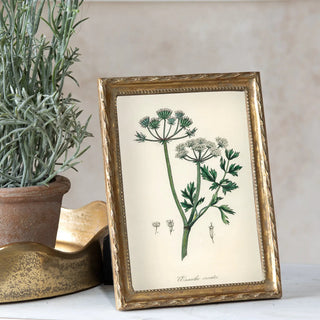 Gold twist photo frame with ornate beveled edge featuring botanical print.