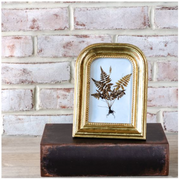 Arch Resin Photo Frame 4 X 6 PD Home