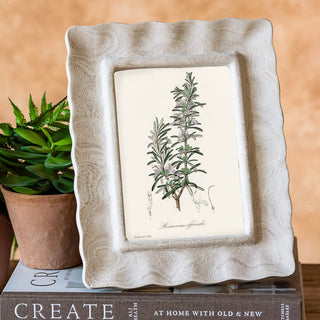 Capri beige marble photo frame with a wavy edge housing a botanical illustration