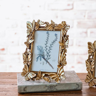 Bronze butterfly frame featuring a botanical illustration