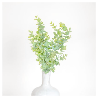 17" Green Eucalyptus Bush PD Home