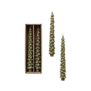 Tree Shaped Taper Candles w/ Gold Tips - Evergreen  Creative Co-Op   