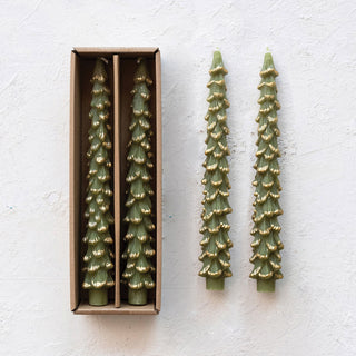 Tree Shaped Taper Candles w/ Gold Tips - Evergreen  Creative Co-Op   