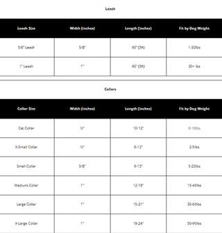 Birthday Collar The Worthy Dog