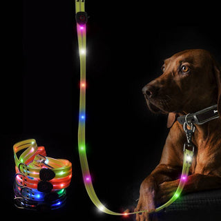 LED Dog Leash with neon yellow strap and multi-color LED lights