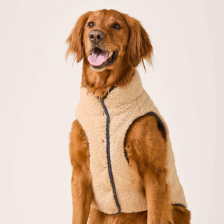 Navy Sherpa-Lined Reversible Dog Jacket The Foggy Dog