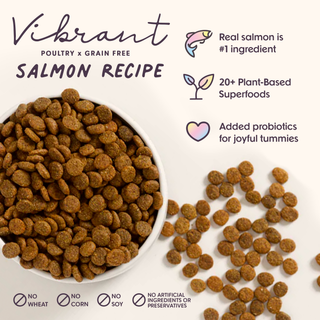 Vibrant Salmon Superfood Dog Food (Poultry-Free) 4lb by Bundle x Joy, brown kibble in a bowl