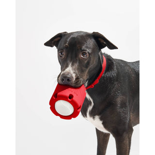 Tennis Tumble Interactive Dog Toy Wild One