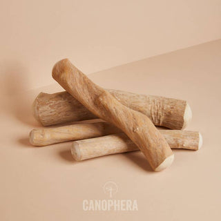 Dog chew sticks made of coffee wood, natural beige color, 4-piece set.
