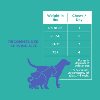 The Only Digestive Support Soft Chews on teal background with blue dog silhouettes and serving-size chart
