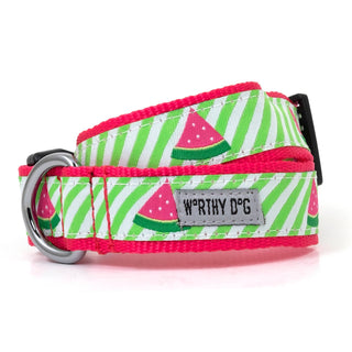 Watermelon-print collar, Dapper style, green and white stripes with pink edging, X-Small