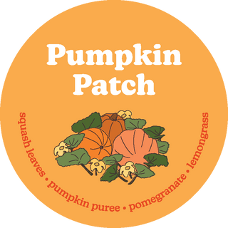 Pumpkin Patch Wax Melts  Happy Wax   