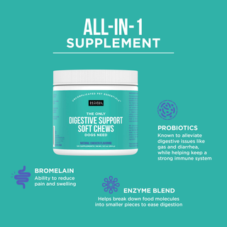 Digestive support soft chews for dogs in a teal tub with white lid, all-in-one supplement